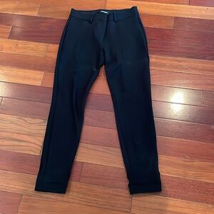 Express dressed pants
